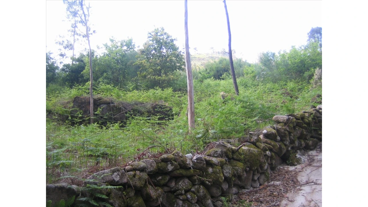 Terreno para Venda em Soajo Foto 3