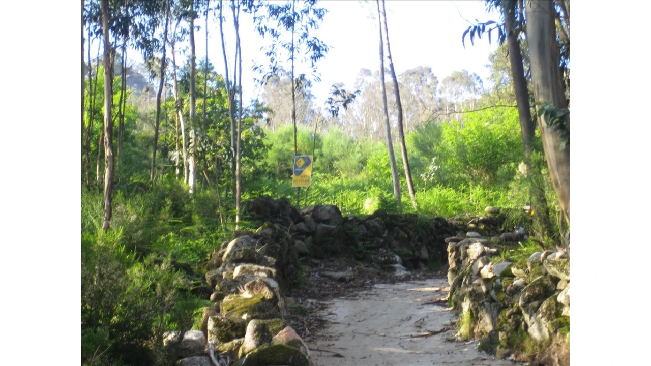 Terreno para Venda em Soajo Foto 2
