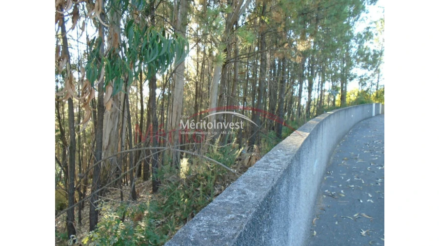 Terreno para Venda em Bougado (São Martinho e Santiago) Foto 4