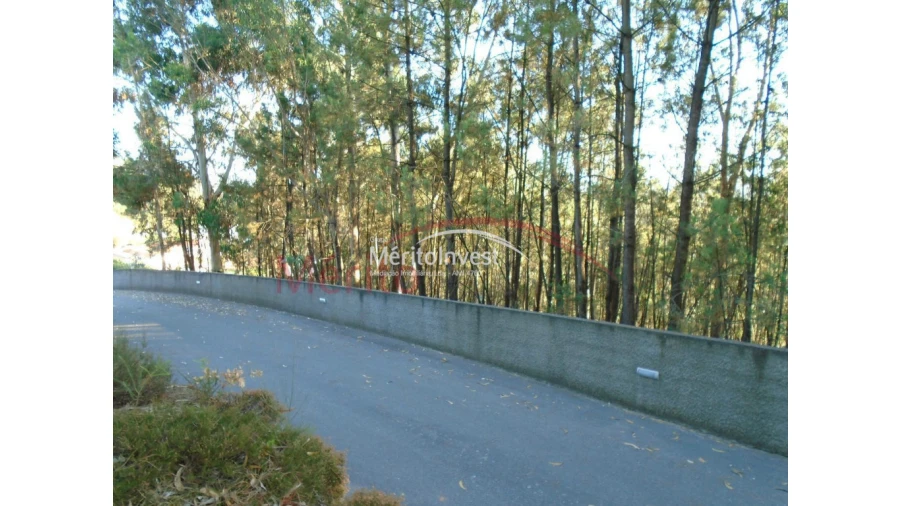 Terreno para Venda em Bougado (São Martinho e Santiago) Foto 6