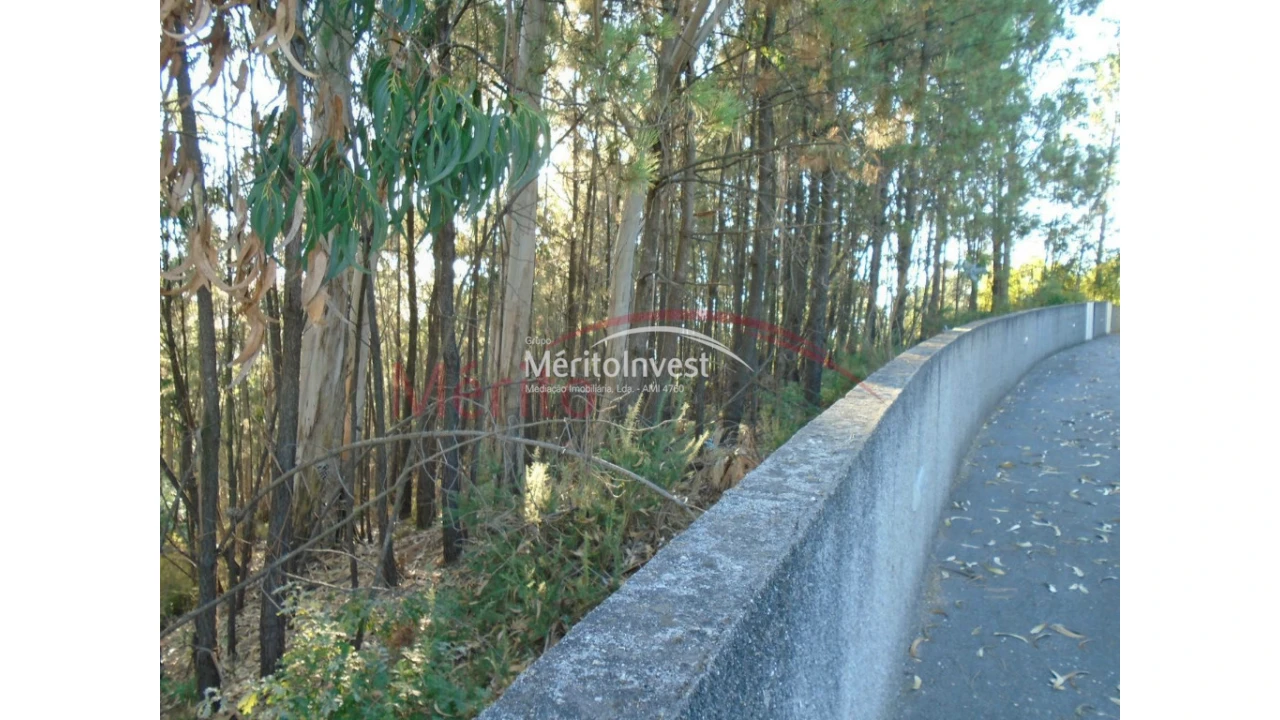 Terreno para Venda em Bougado (São Martinho e Santiago) Foto 4