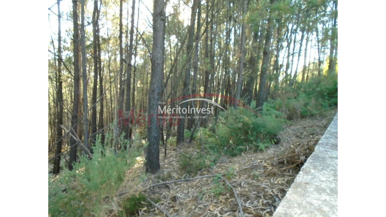 Terreno para Venda em Bougado (São Martinho e Santiago) Foto 2