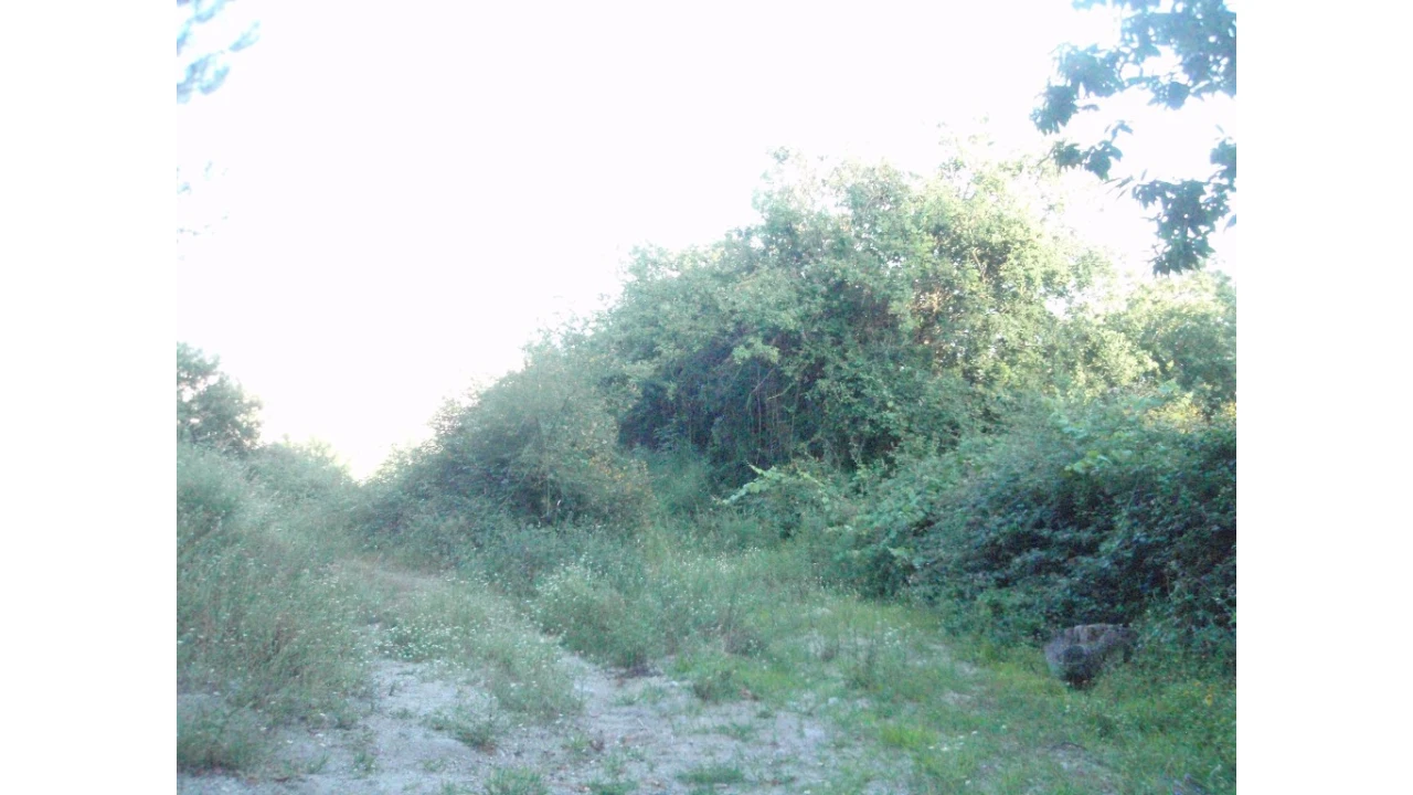 Terreno para Venda em Monte Redondo Foto 9