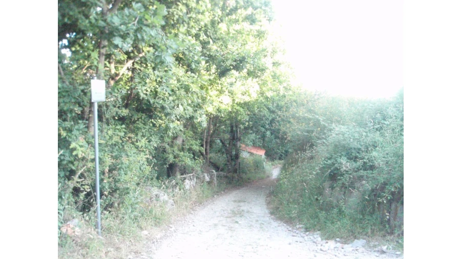 Terreno para Venda em Monte Redondo Foto 11