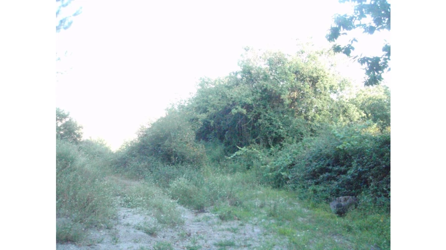 Terreno para Venda em Monte Redondo Foto 9