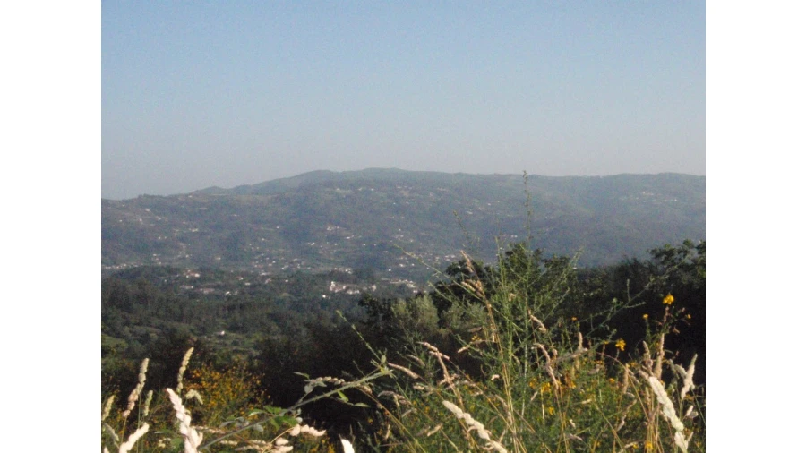 Terreno para Venda em Monte Redondo Foto 5
