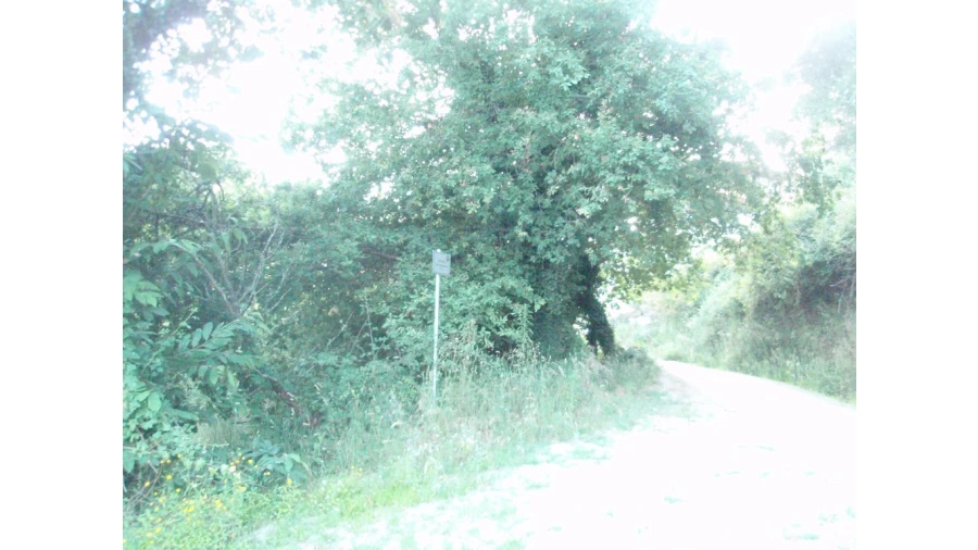 Terreno para Venda em Monte Redondo Foto 10