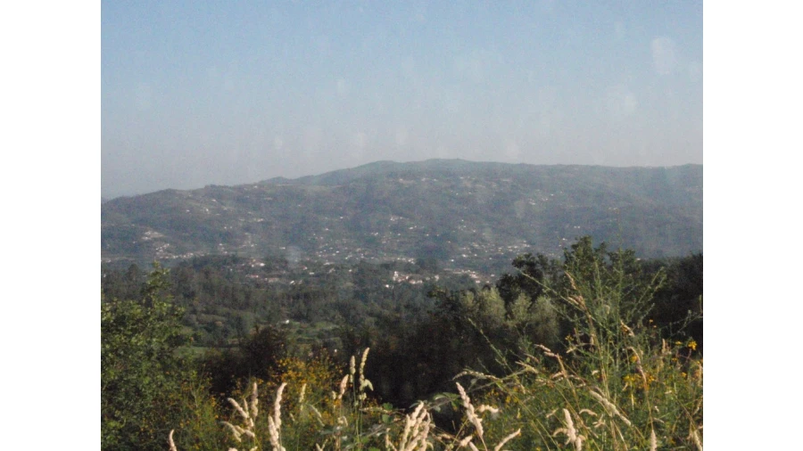 Terreno para Venda em Monte Redondo Foto 1