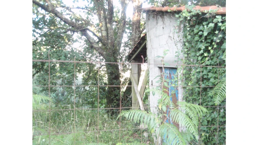 Terreno para Venda em Monte Redondo Foto 6