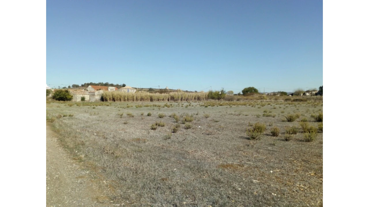 Terreno para Venda em Santa Maria e São Miguel, São Martinho, São Pedro Penaferrim Foto 17