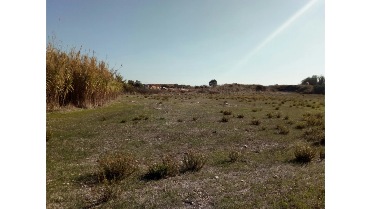 Terreno para Venda em Santa Maria e São Miguel, São Martinho, São Pedro Penaferrim Foto 12