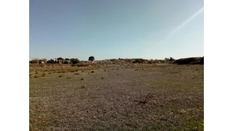 Terreno para Venda em Santa Maria e São Miguel, São Martinho, São Pedro Penaferrim