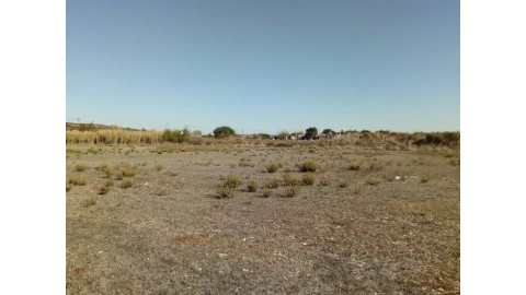 Terreno para Venda em Santa Maria e São Miguel, São Martinho, São Pedro Penaferrim