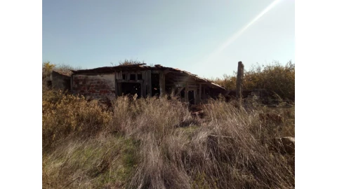 Terreno para Venda em Santa Maria e São Miguel, São Martinho, São Pedro Penaferrim