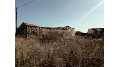 Terreno para Venda em Santa Maria e São Miguel, São Martinho, São Pedro Penaferrim