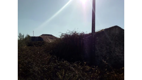 Terreno para Venda em Santa Maria e São Miguel, São Martinho, São Pedro Penaferrim