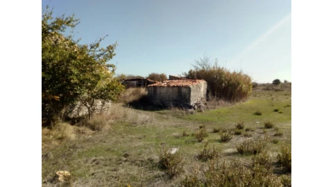 Terreno para Venda em Santa Maria e São Miguel, São Martinho, São Pedro Penaferrim