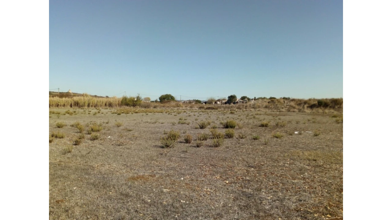 Terreno para Venda em Santa Maria e São Miguel, São Martinho, São Pedro Penaferrim Foto 16