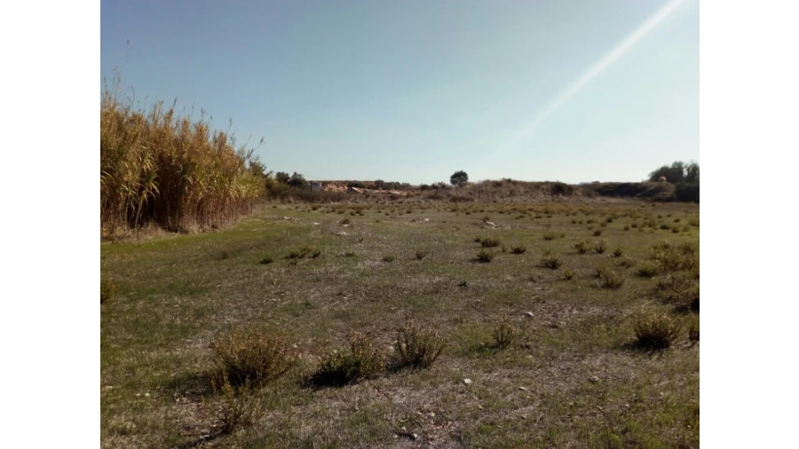 Terreno para Venda em Santa Maria e São Miguel, São Martinho, São Pedro Penaferrim Foto 12