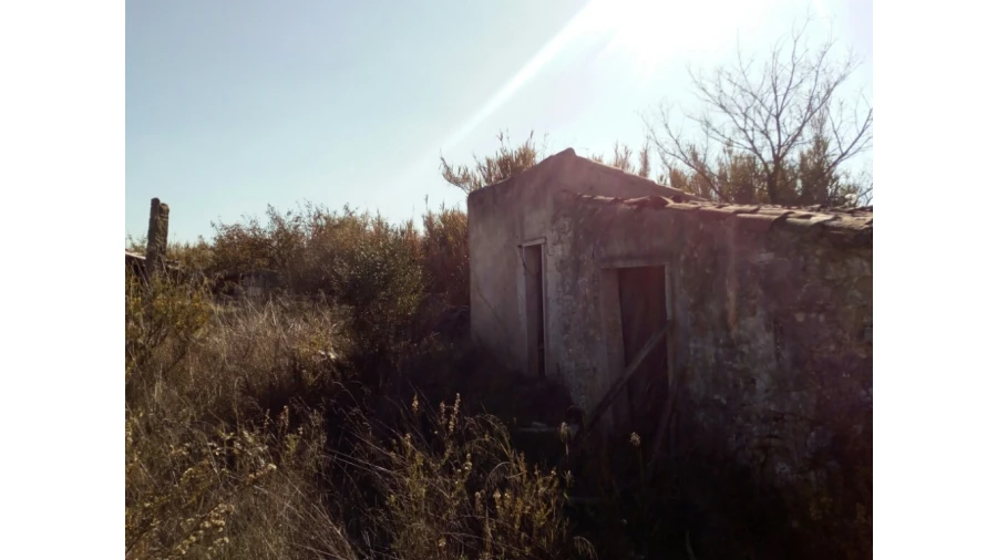 Terreno para Venda em Santa Maria e São Miguel, São Martinho, São Pedro Penaferrim Foto 11