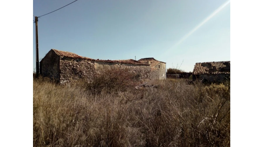 Terreno para Venda em Santa Maria e São Miguel, São Martinho, São Pedro Penaferrim Foto 2