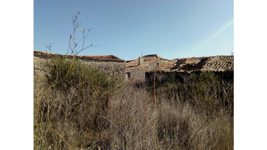 Terreno para Venda em Santa Maria e São Miguel, São Martinho, São Pedro Penaferrim Foto 4