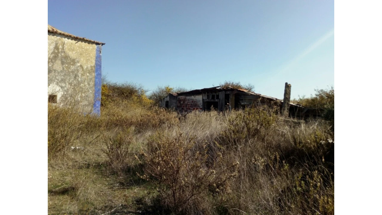 Terreno para Venda em Santa Maria e São Miguel, São Martinho, São Pedro Penaferrim Foto 9