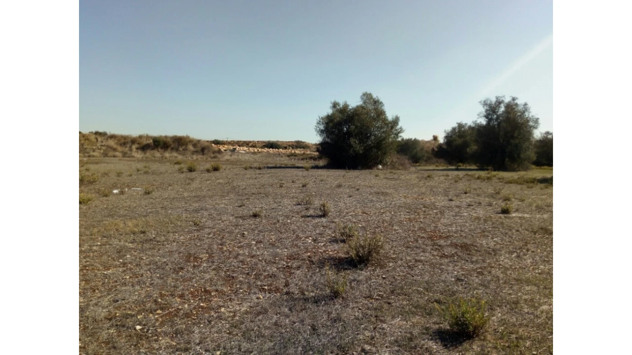 Terreno para Venda em Santa Maria e São Miguel, São Martinho, São Pedro Penaferrim Foto 14