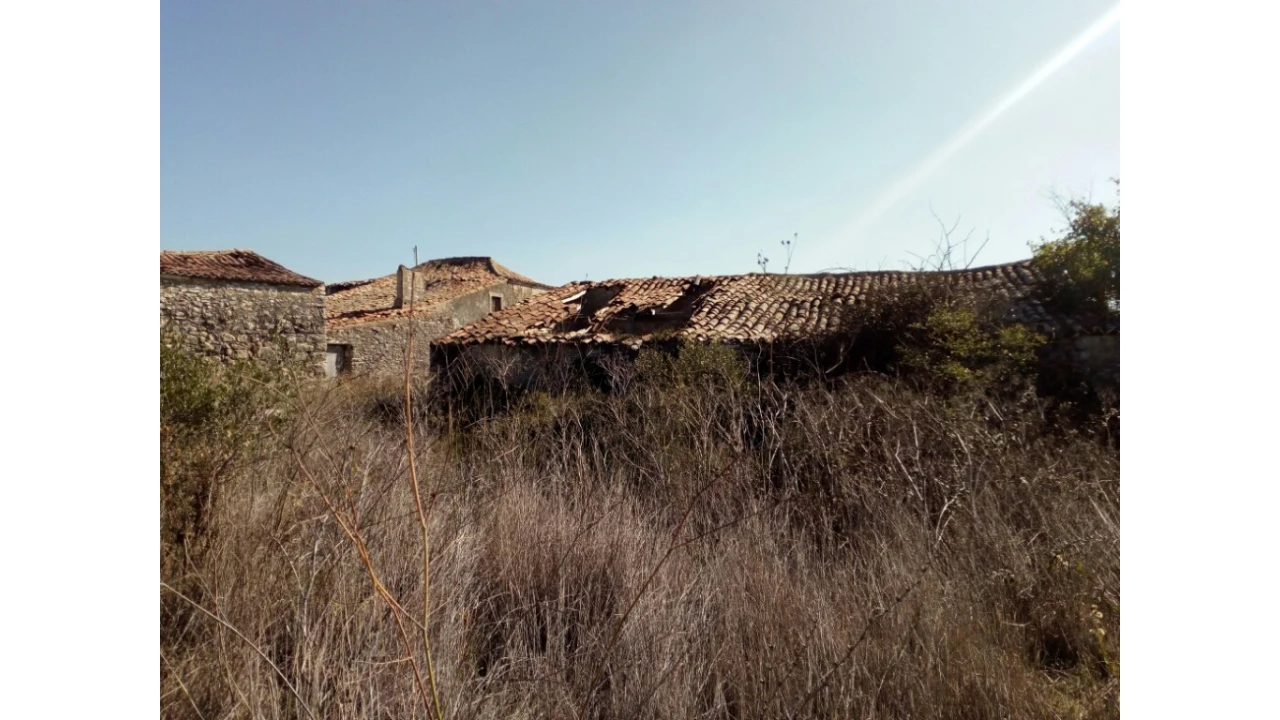 Terreno para Venda em Santa Maria e São Miguel, São Martinho, São Pedro Penaferrim Foto 3