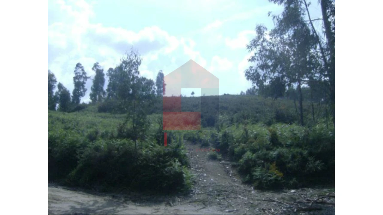 Terreno para Venda em Dossãos Foto 1