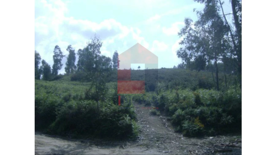 Terreno para Venda em Dossãos