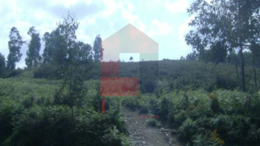 Terreno para Venda em Dossãos