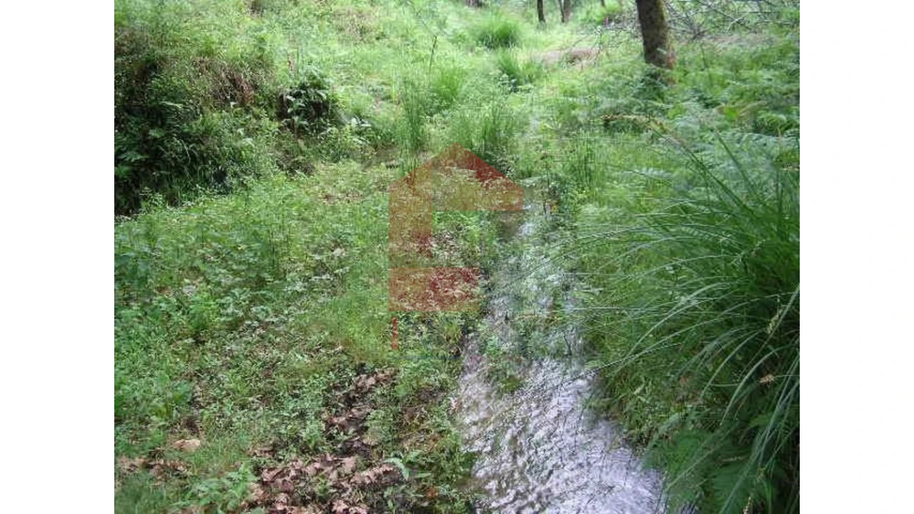 Terreno para Venda em Valdreu Foto 3