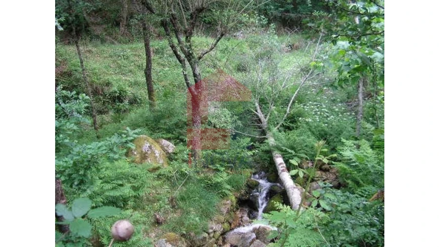 Terreno para Venda em Valdreu Foto 4