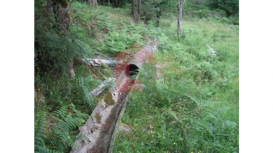 Terreno para Venda em Valdreu Foto 11