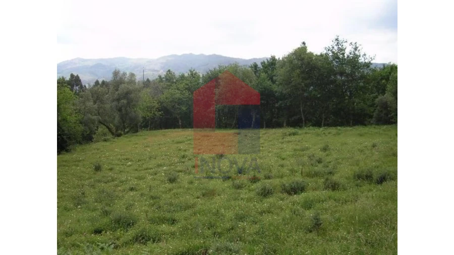 Terreno para Venda em Valdreu Foto 6