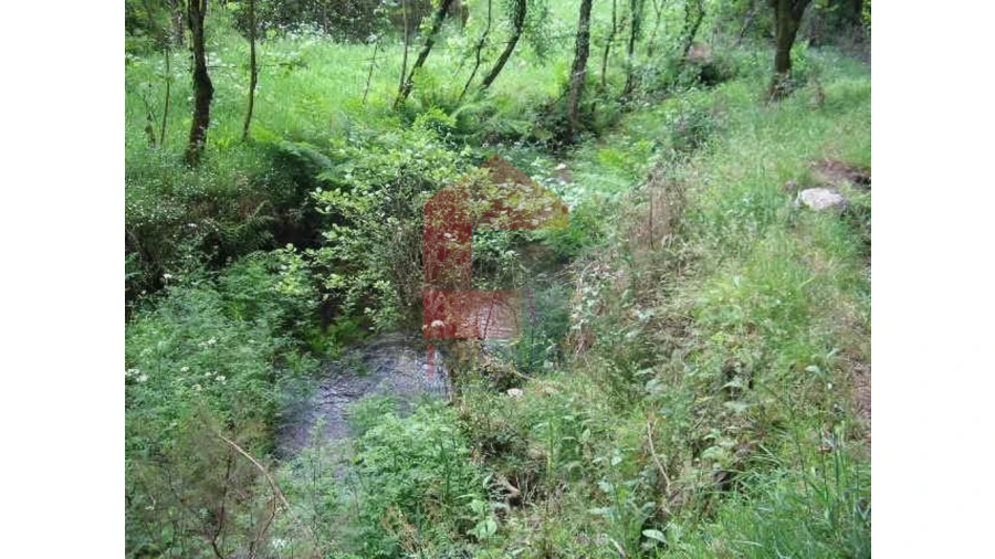 Terreno para Venda em Valdreu Foto 9