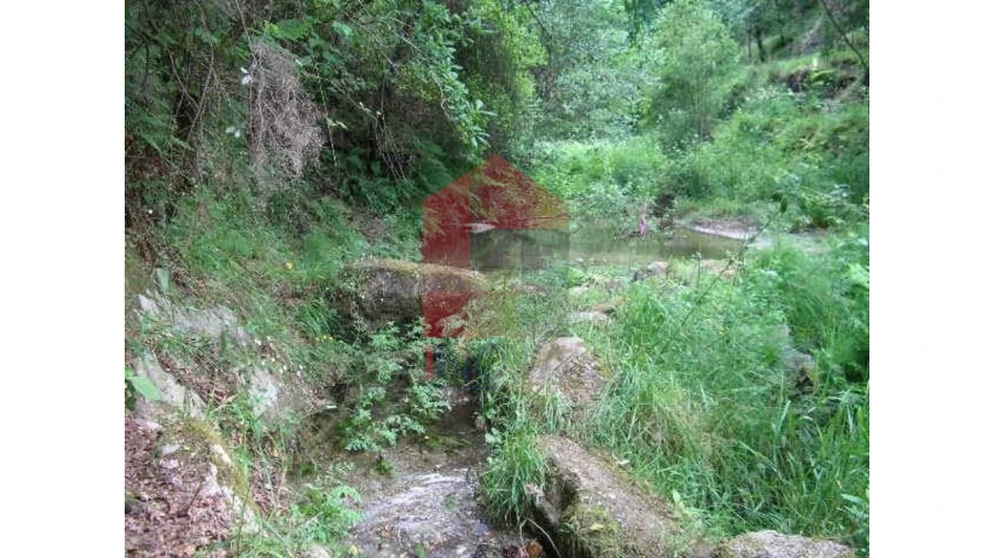 Terreno para Venda em Valdreu Foto 2