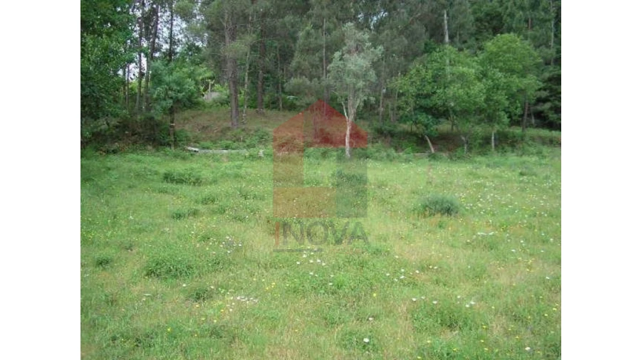 Terreno para Venda em Valdreu Foto 7