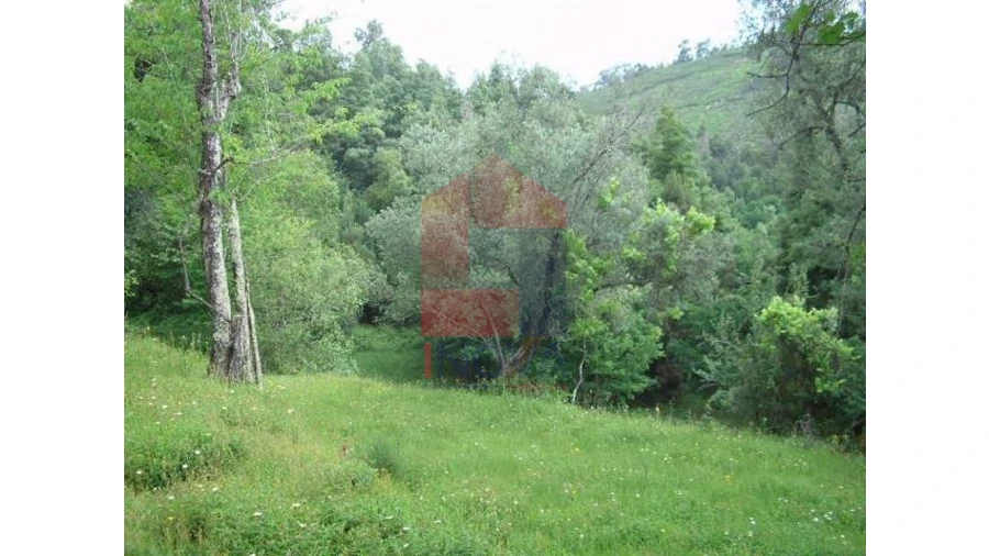 Terreno para Venda em Valdreu Foto 5
