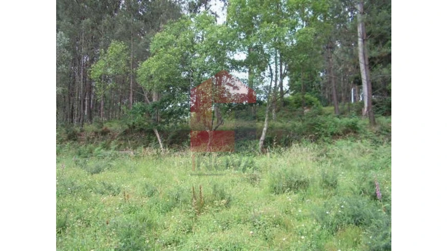 Terreno para Venda em Valdreu Foto 8