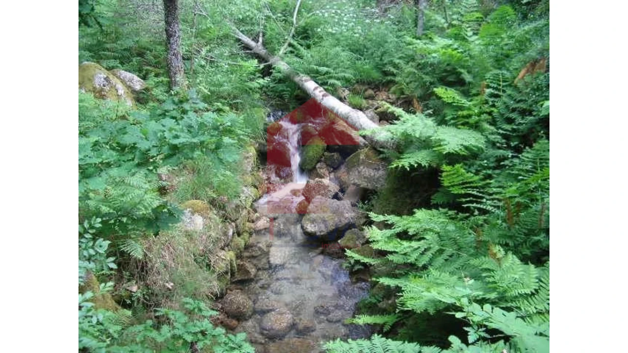 Terreno para Venda em Valdreu Foto 1