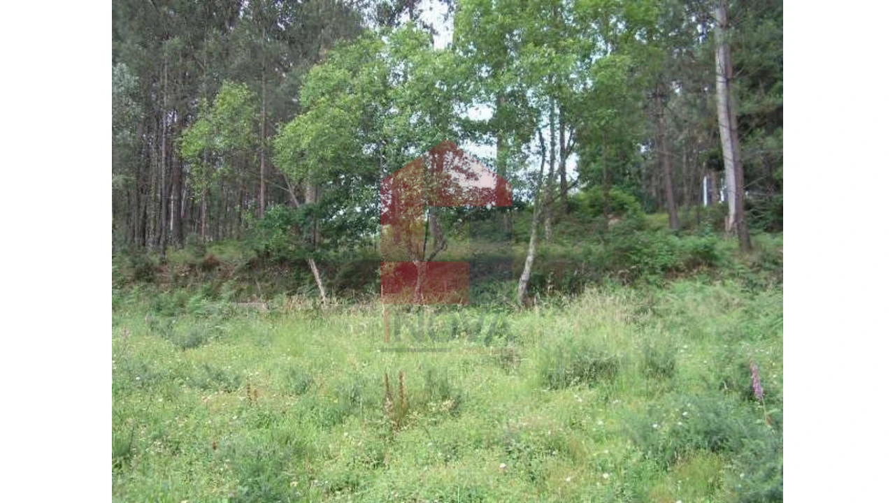 Terreno para Venda em Valdreu Foto 8