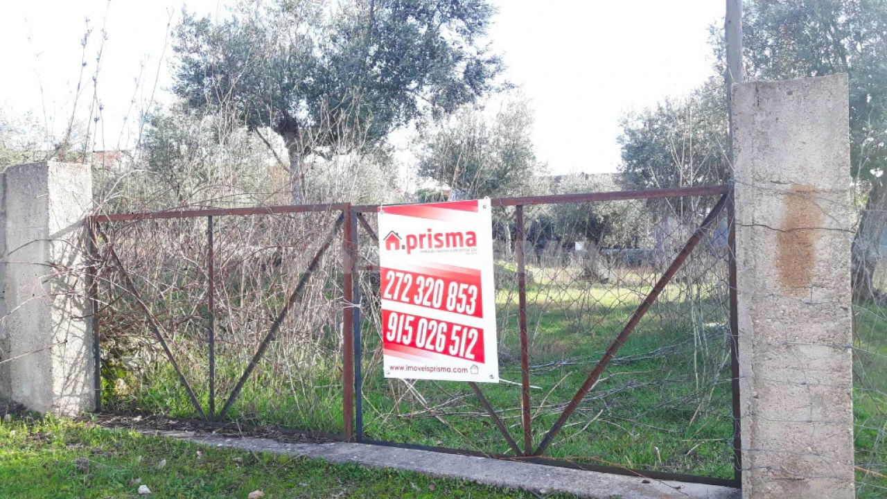 Terreno para Venda em Escalos de Cima e Lousa Foto 2