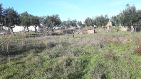 Terreno para Venda em Escalos de Cima e Lousa