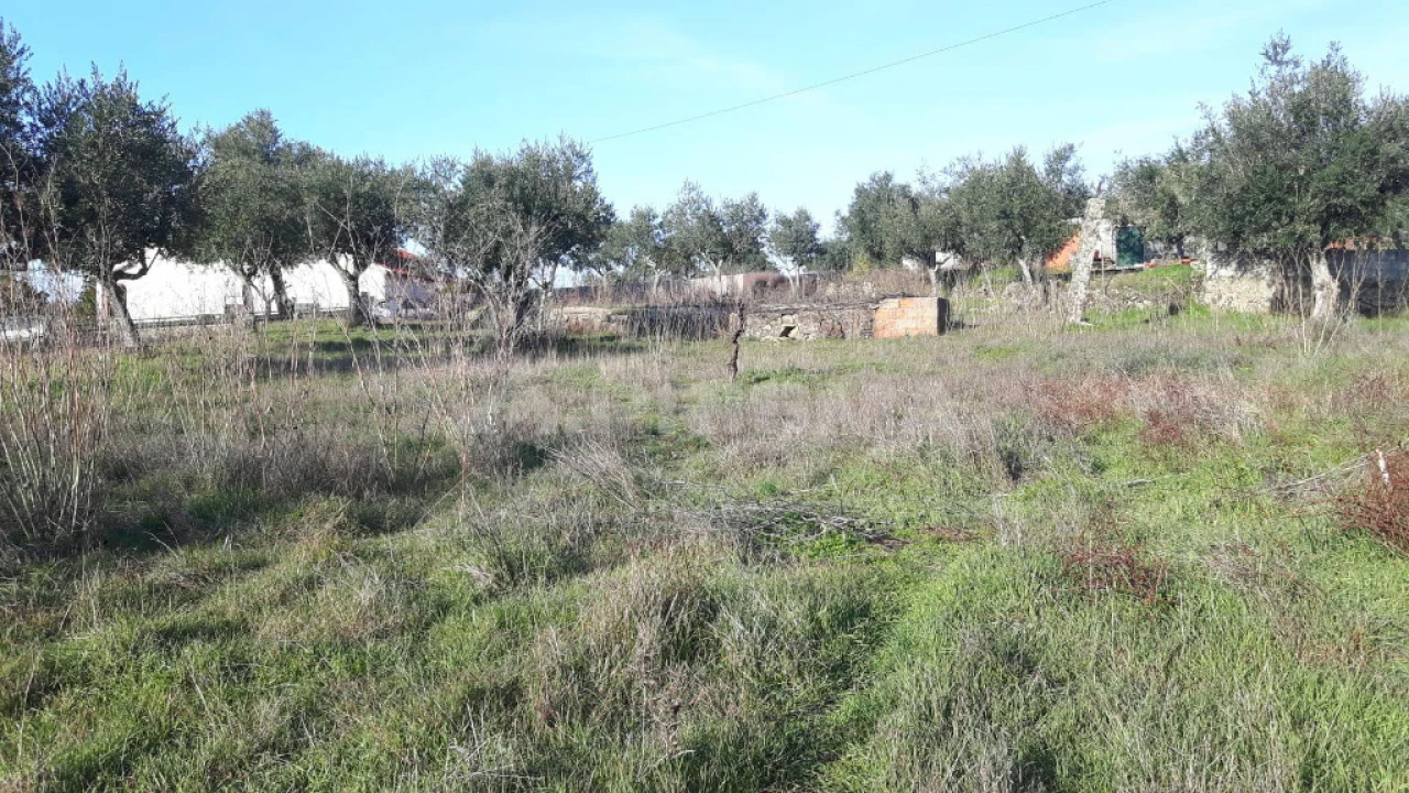 Terreno para Venda em Escalos de Cima e Lousa Foto 6