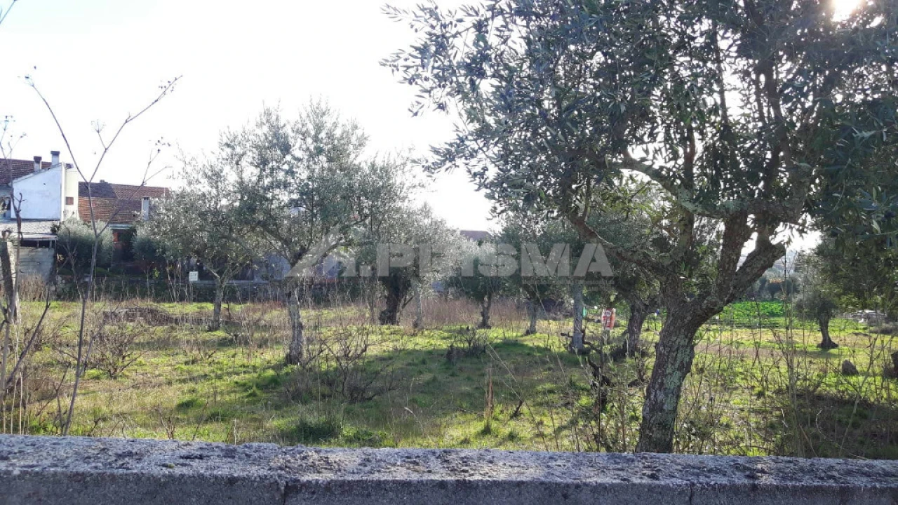 Terreno para Venda em Escalos de Cima e Lousa Foto 3