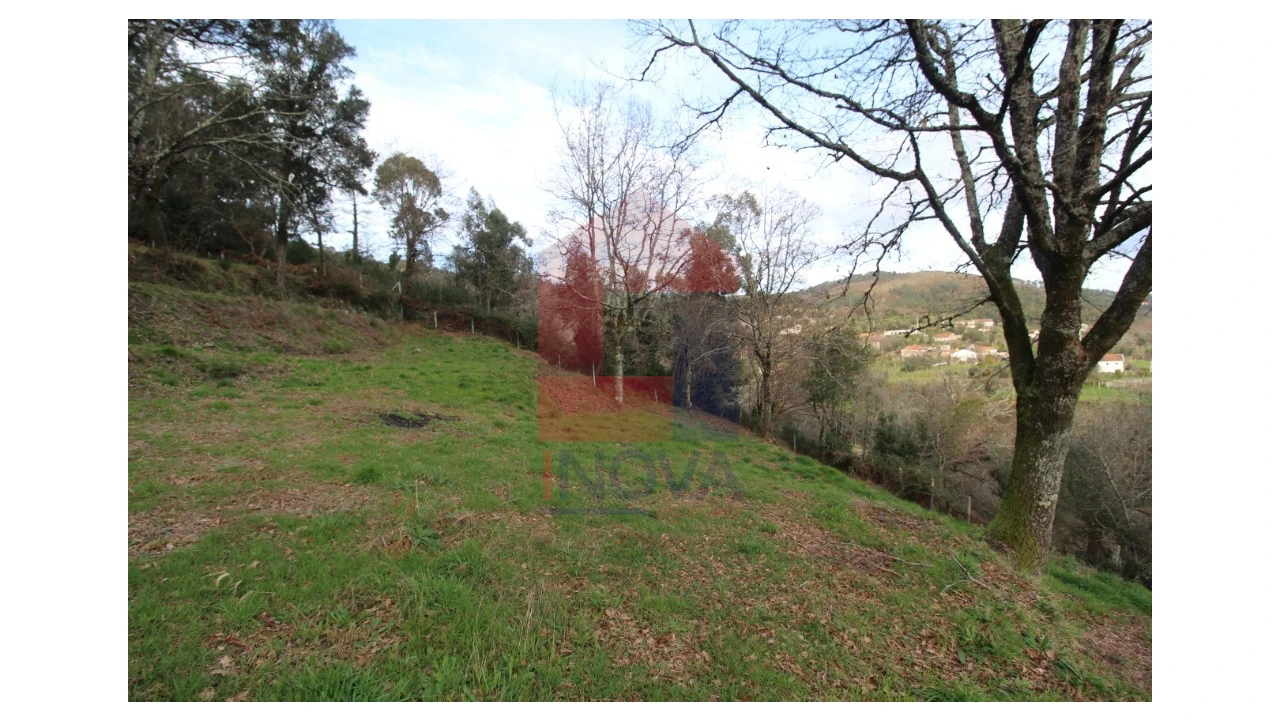 Terreno para Venda em Pico de Regalados, Gondiães e Mós Foto 5