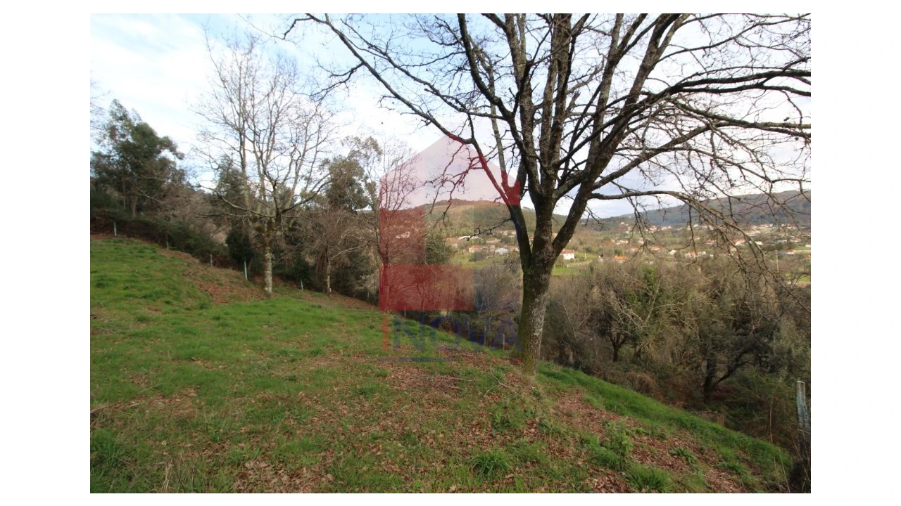 Terreno para Venda em Pico de Regalados, Gondiães e Mós Foto 4