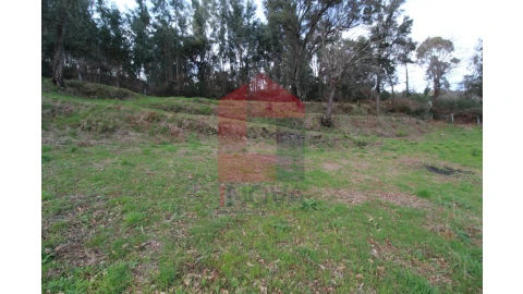 Terreno para Venda em Pico de Regalados, Gondiães e Mós